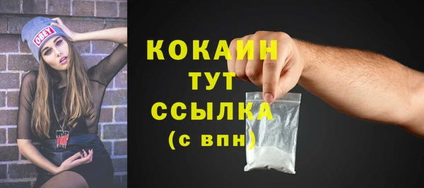 прущие грибы Абинск